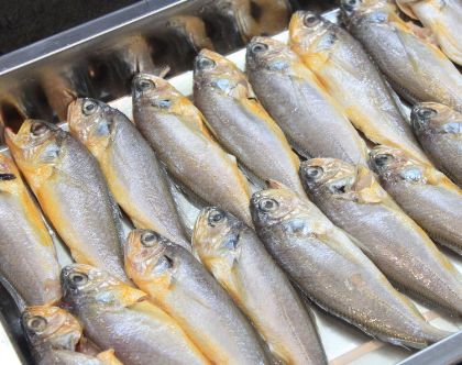 17e8897bdddb48b29550c361cf36e732.jpeg