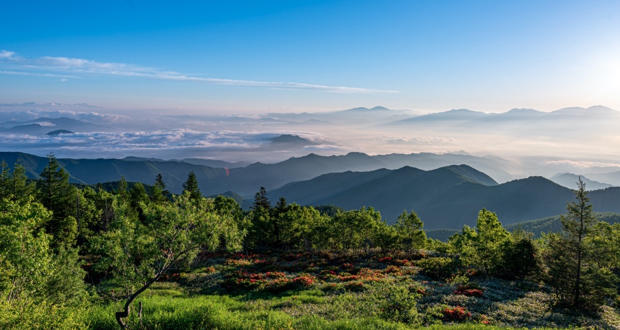 经销商放弃小家电正在引发线下渠道危机-家电圈官网