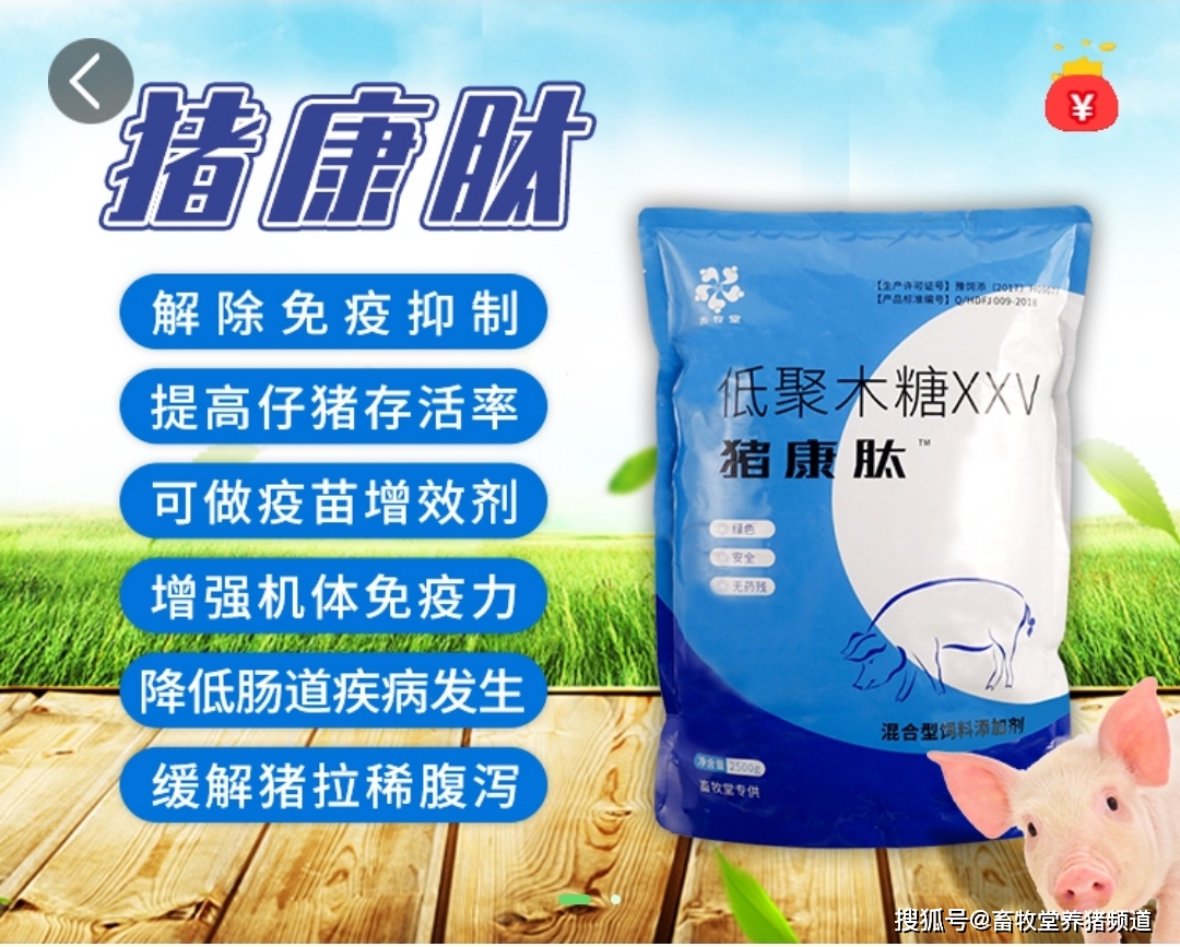 兔子怎么喂葡萄糖粉 cf148739a6f140018013b0a3e5842702.jpeg