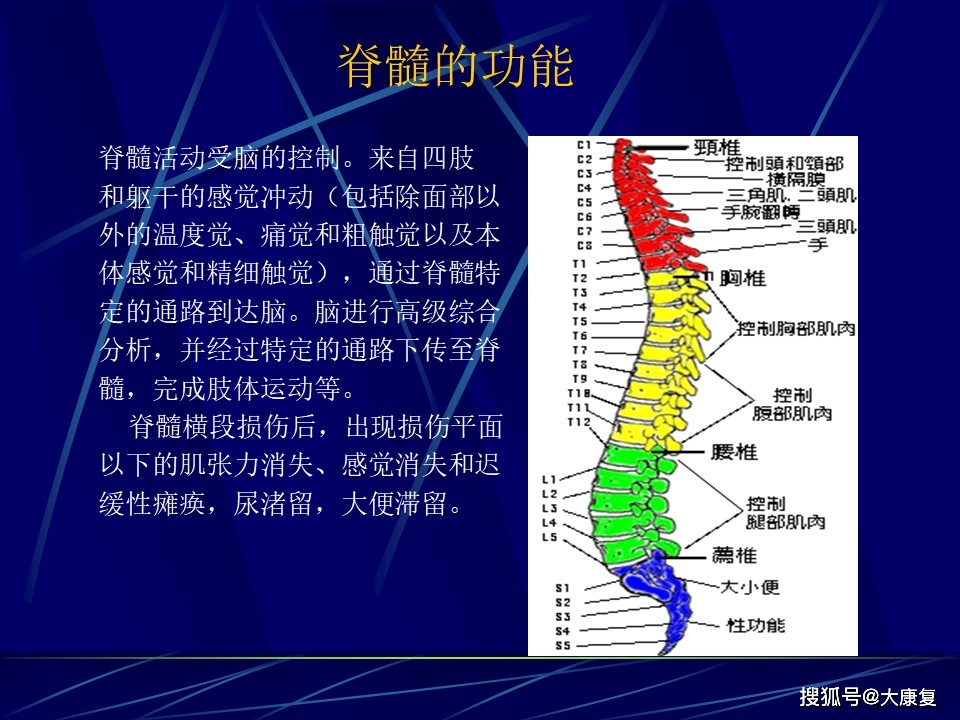 df90448ab6d24582990d2ed5cffafa66.jpeg