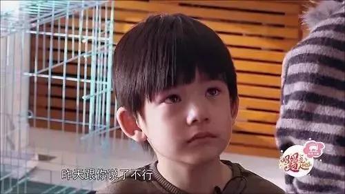 董璇的女儿和潘粤明的儿子,是内娱星二代最强的两张脸吧