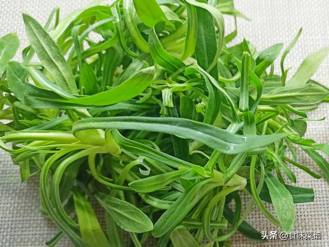 冬季别错过这个野菜,润肺止咳,春节包饺子真香,城里人很少吃过