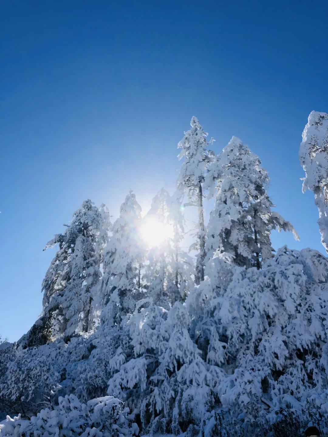 冬季瓦屋山的雾凇雪凇美的一塌糊涂1月20号当天古佛坪检修停运