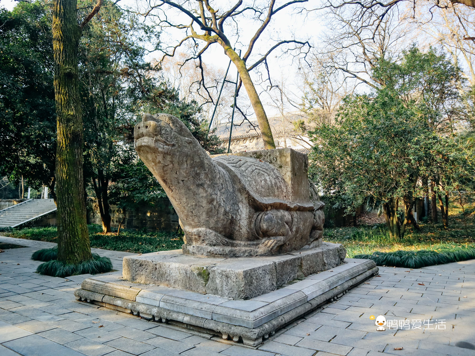 南京明朝古寺,原建筑仅存无梁殿,殿前石龟趺来历不明成谜团!_灵谷寺