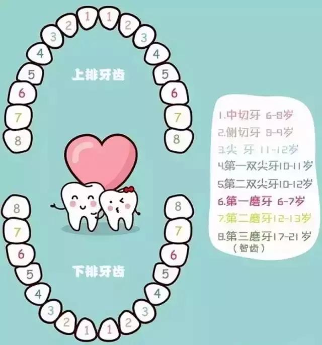 3,换牙期间常见问题及其解决办法