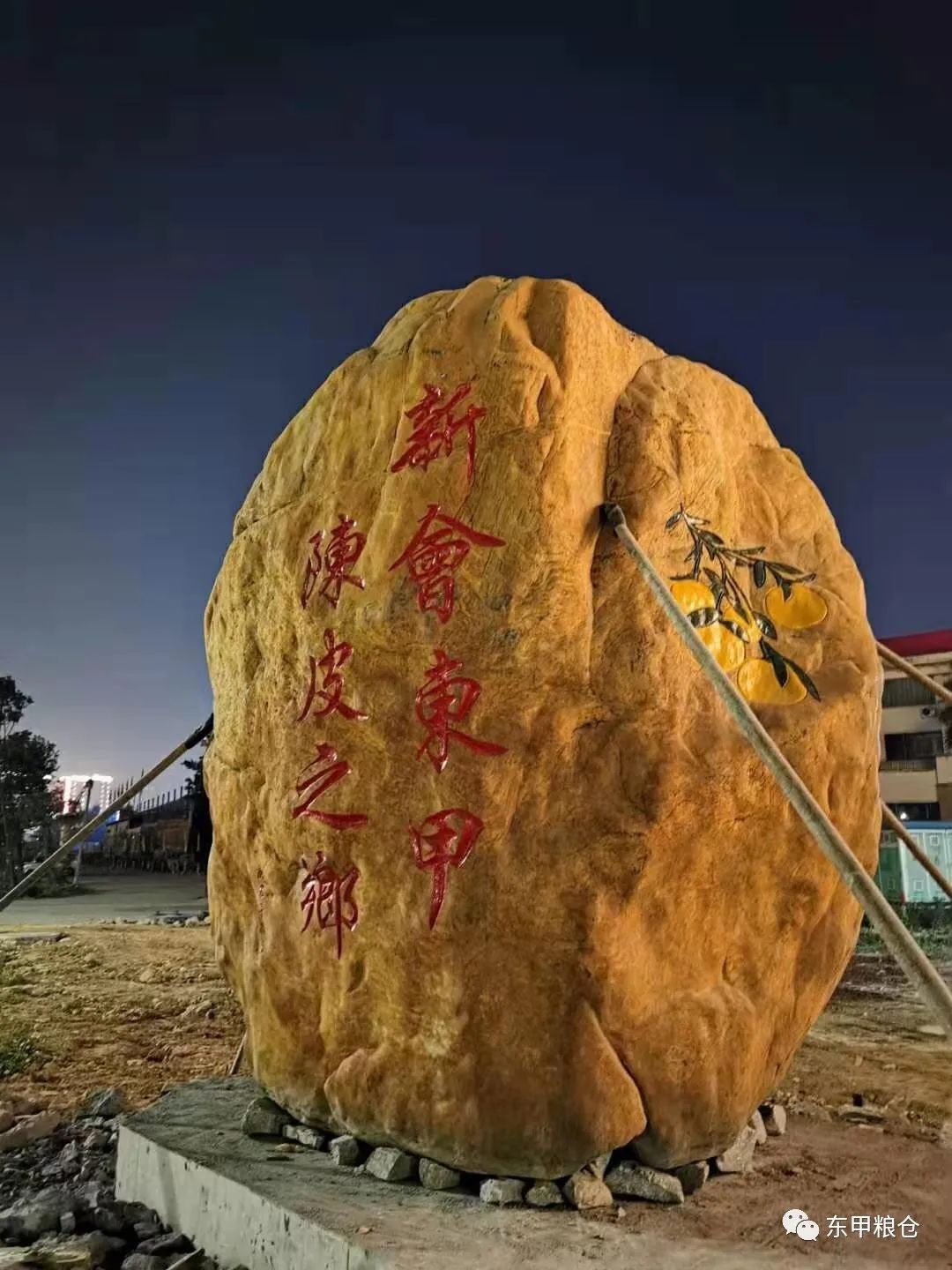 新会东甲圈枝陈皮是炒作还是真材实料