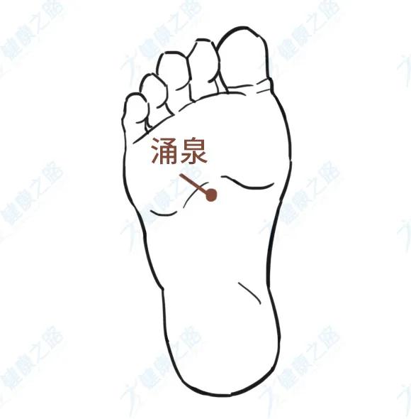 按摩技巧:手轻握成拳,关节微屈,五指并拢,轻叩脚底涌泉穴,每边20~30次