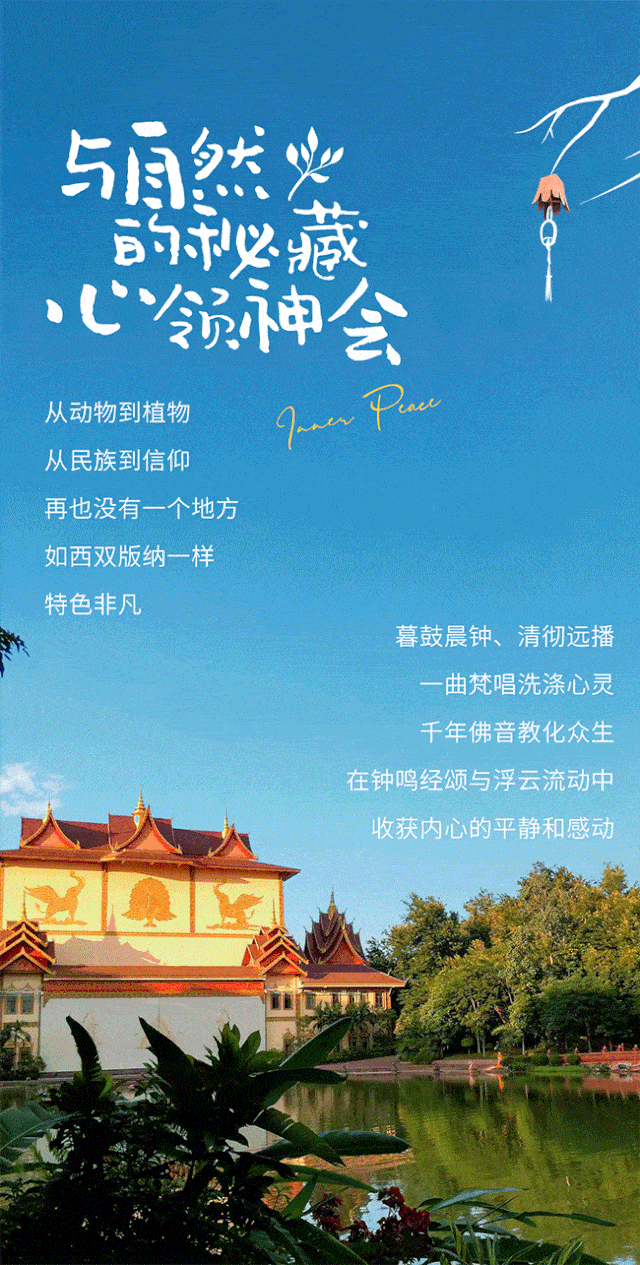 西双版纳悦景庄——心归版纳,幸得大地温柔不息