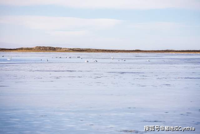 你见过冬天的青海湖吗?湖面都结冰了,景色却依旧美丽