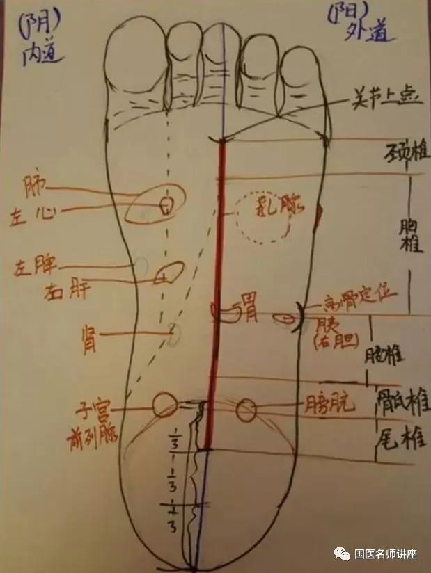 气血疏通高级课程(副本)