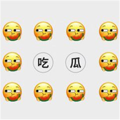 吃瓜人专属的表情包合集