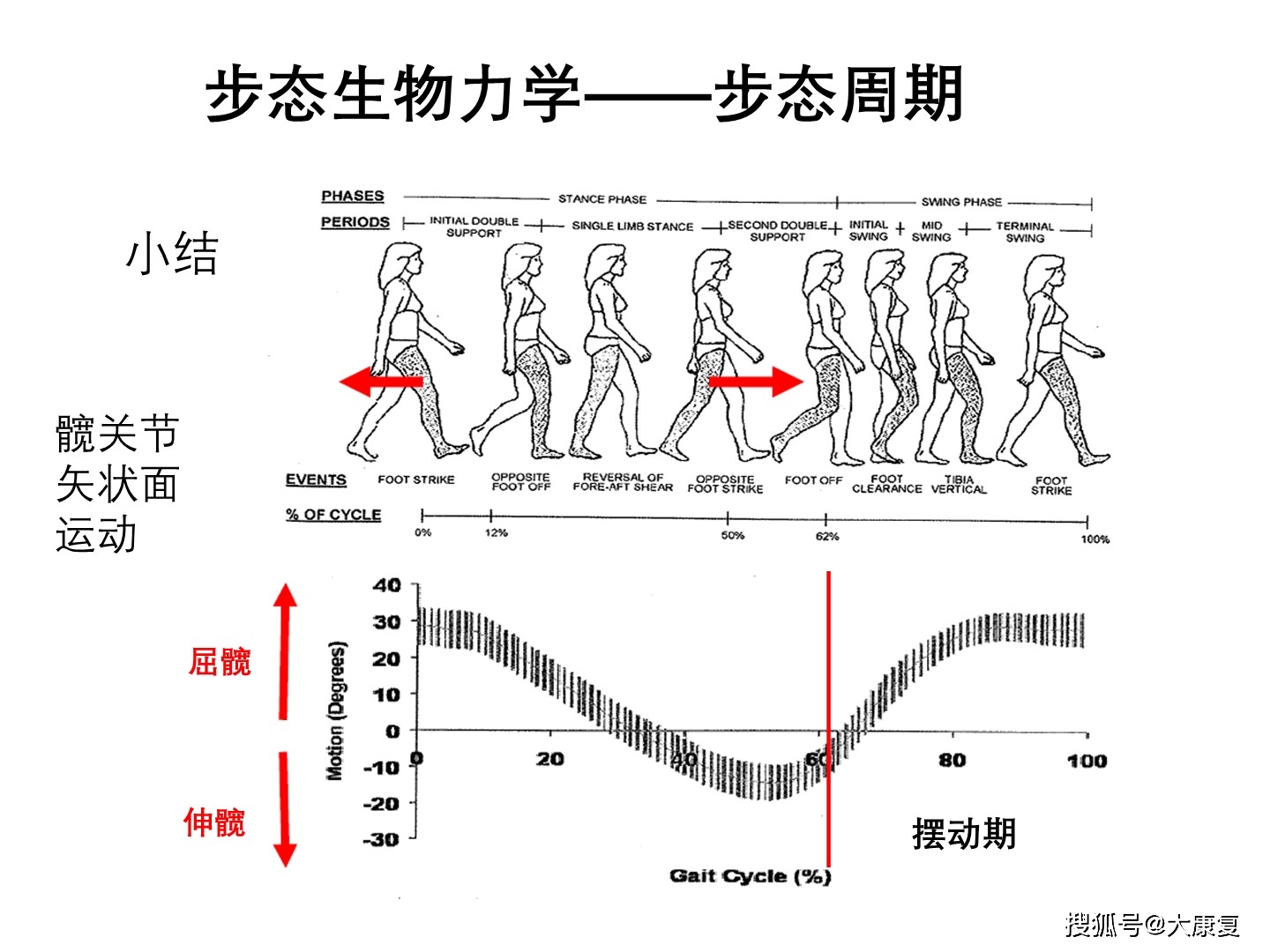 步态生物力学