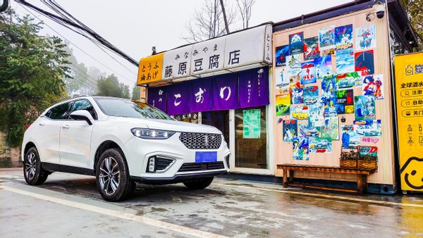 经过漫长的寻找,再结合身边老司机的建议,我看中了wey旗下的种子选手