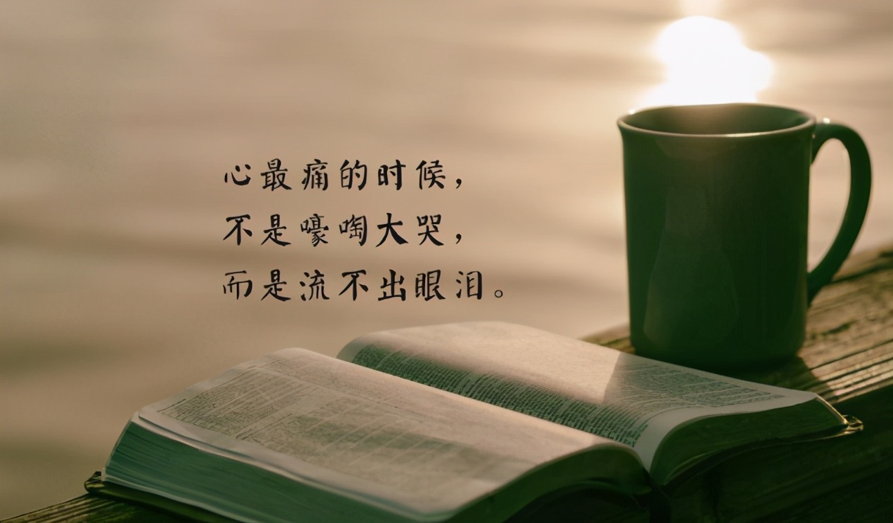 原创你的冷落,冰封了我的心