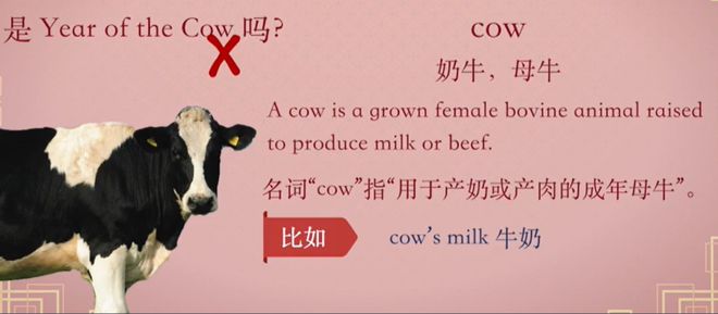 那么中西结合之"牛年"怎么用英语表达呢? 【选择填空】2021年是牛年.