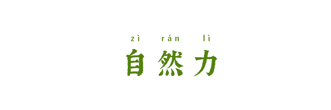 touching 腾冲 | 6天行走,touch到意想不到的可能_虫子