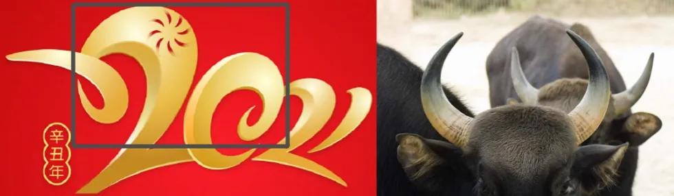 2021春晚logo像面筋,2018春晚logo 2021年央视春晚logo,艺范艺术直呼:毛毛虫?烤面筋?