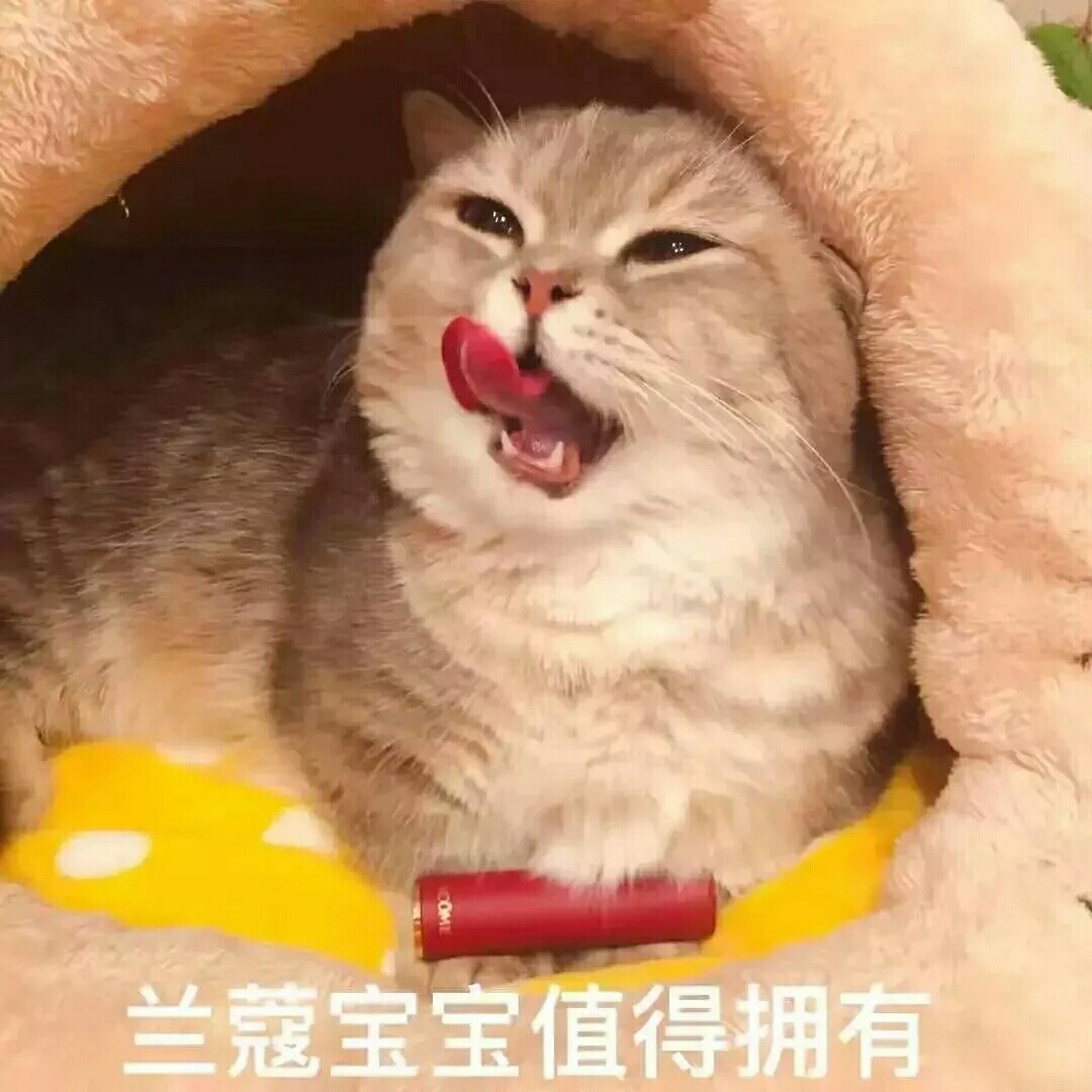 超可爱搞笑表情包!