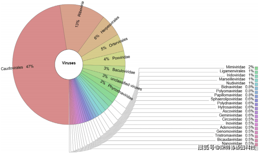 nys样本中主要病毒群落结构的krona饼图