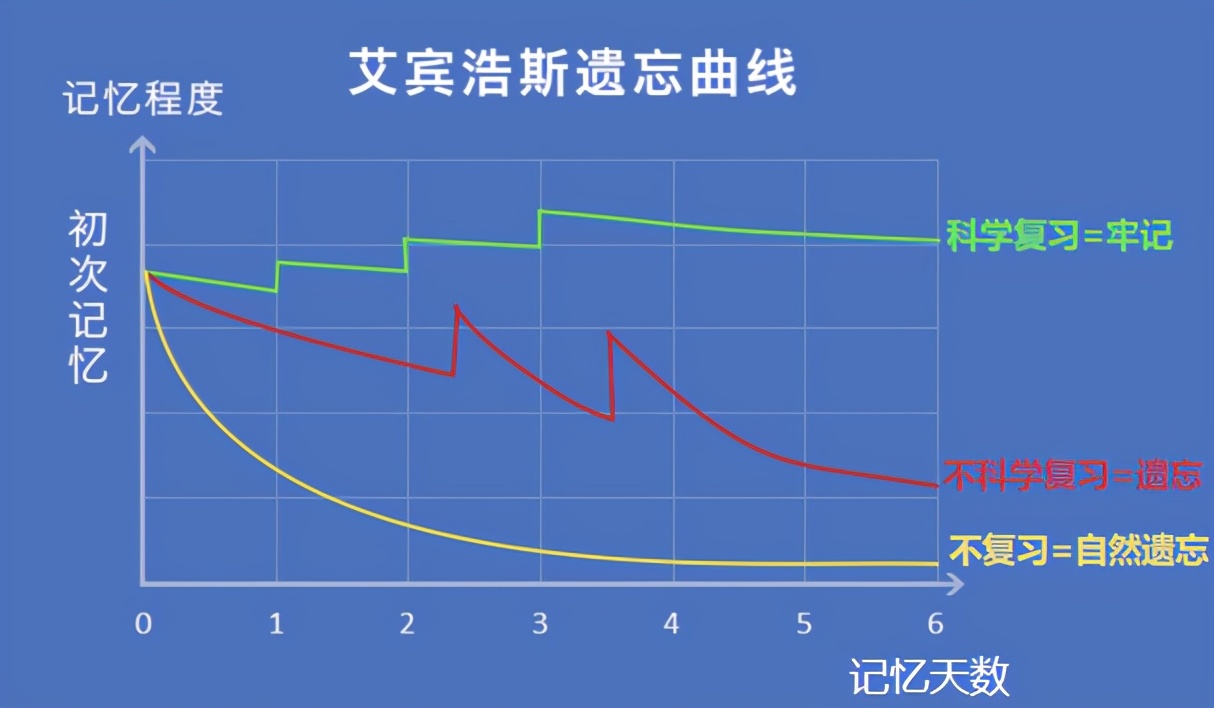 利用遗忘曲线记忆后的对比