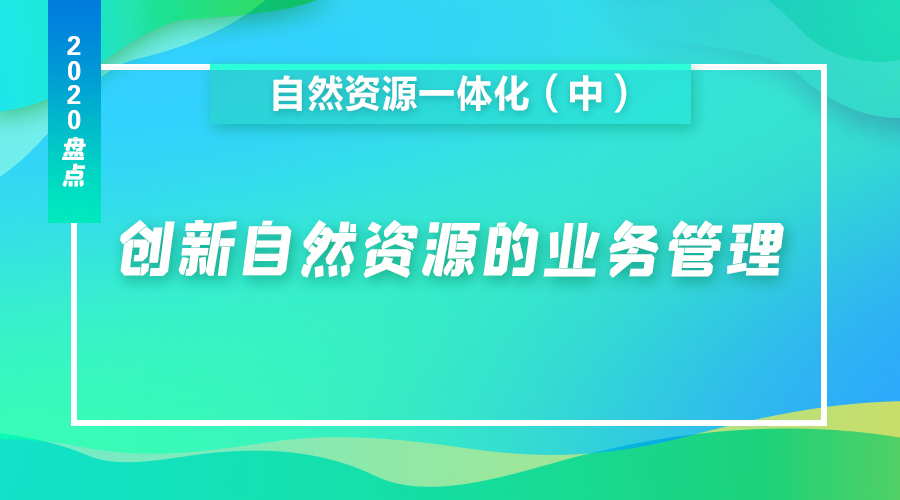 2020自然资源一体化盘点(中|创新自然资源的业务管理_监管