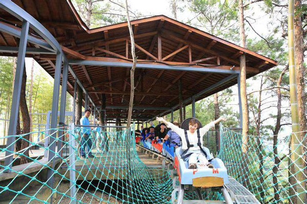 天柱山魔幻森林景区开启浪漫之旅