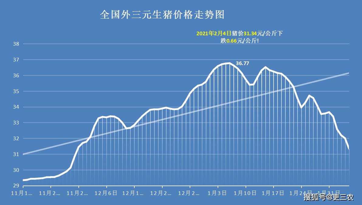 猪价上涨熄火强抑行情的杀手锏即将解封2021年猪价大厦将倾