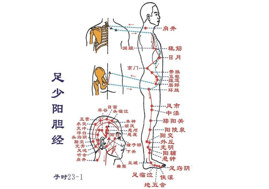 胆经穴位这么多,怎么进行记忆才会更混淆?医生:把它们