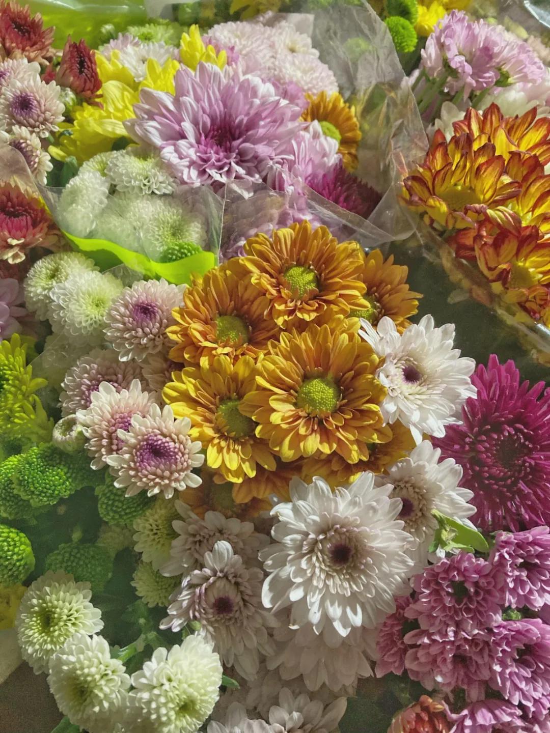 济南人的实用浪漫攻略,藏在这些盛开的市场里,过年走!