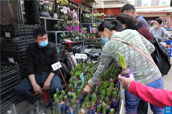 岭南花卉市场坐落于岭南花卉之乡——广州市芳村区五眼桥村.