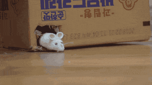 比较稳定的选择出两边数字较大的一方(选较大数量的次数></p></a> 图自:4gifs