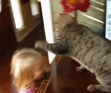 顽皮的小女孩故意让猫打她 被打后还哈哈大笑 猫:这孩子怕不是个傻子