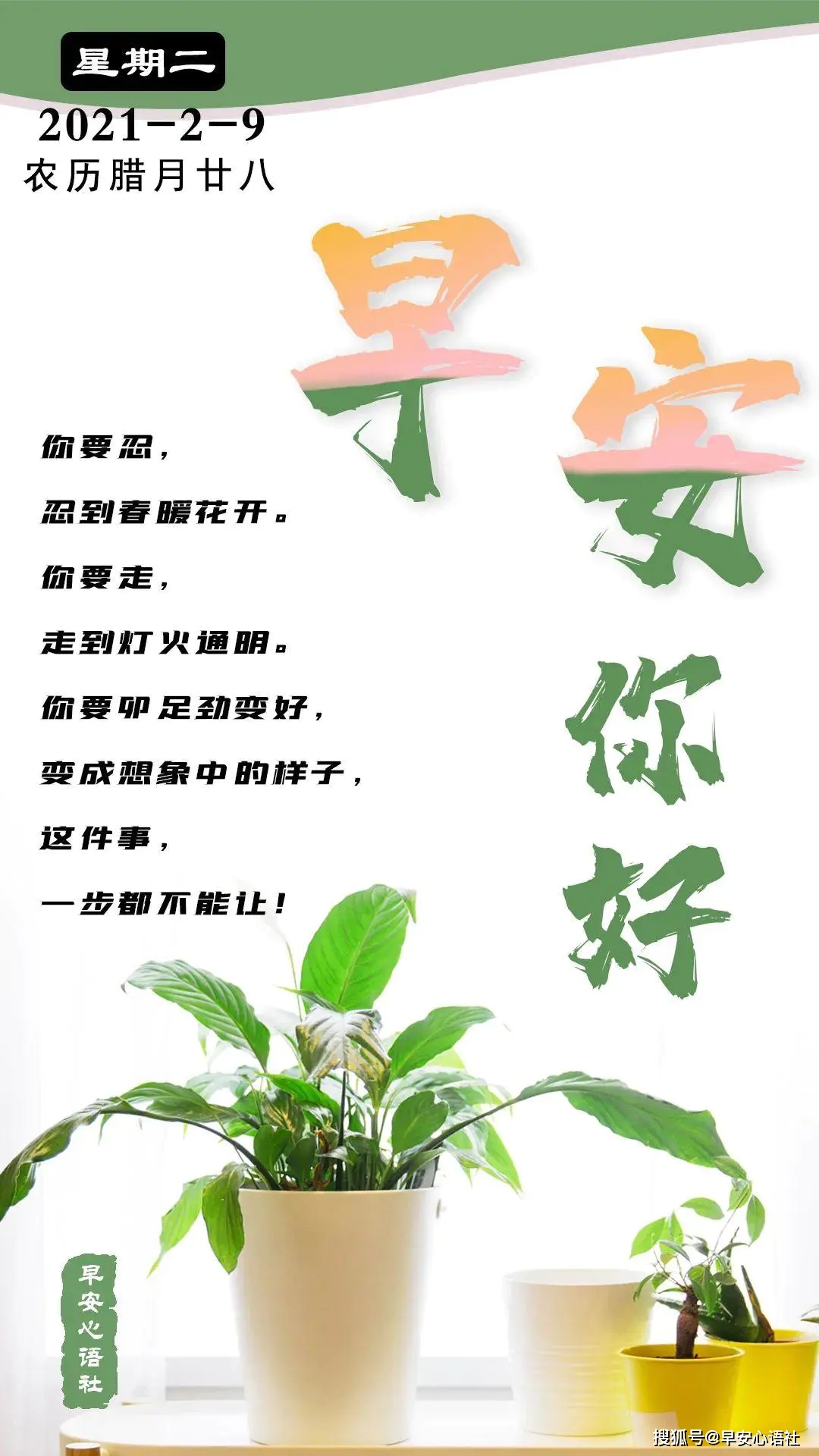 2月9日 星期二  早安心语社每日分享早安心语日签,早安心语正能量