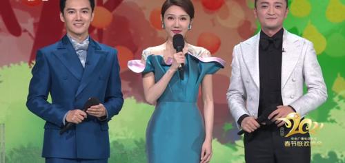 原创央视主持人龙洋春晚出现