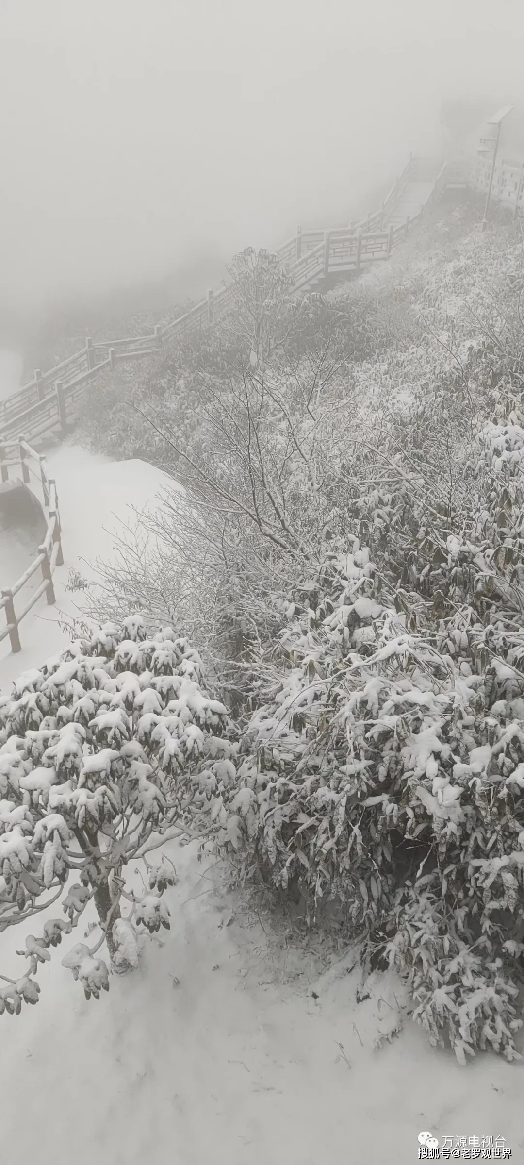 达州万源八台山过年下雪啦好美