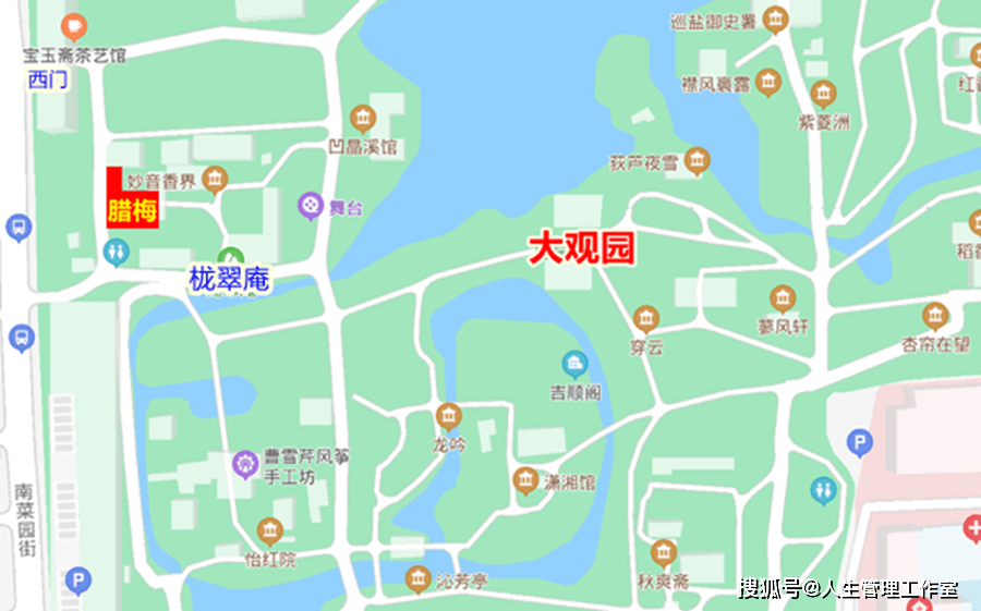 月坛公园腊梅,在南园西部的爽心亭北侧.