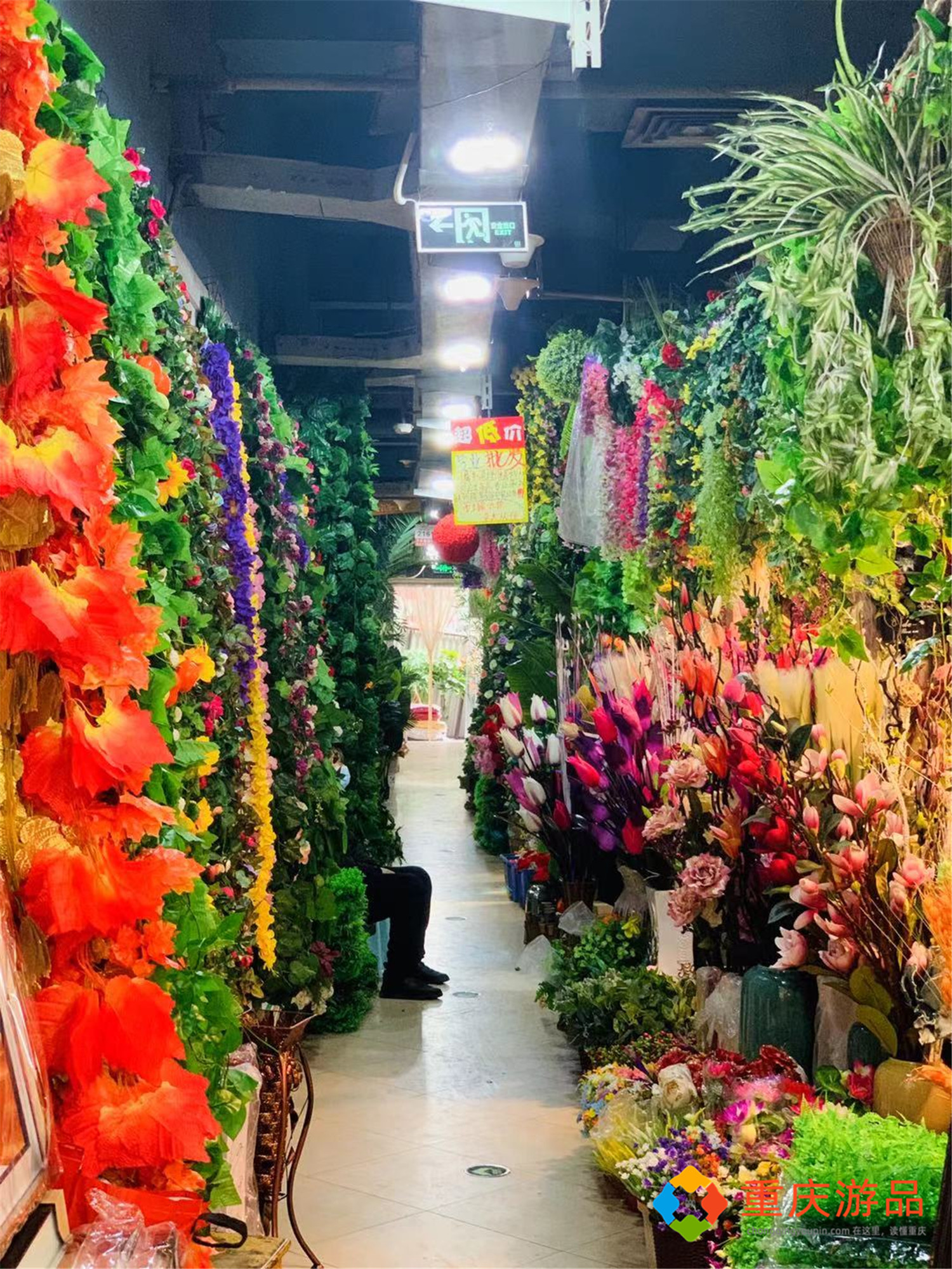 重庆朝天门攻略:各色鲜花目不暇接,在批发市场也能买到"春天"