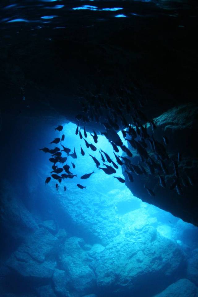 不知道谁会成为进入"三沙永乐龙洞"的第一人,这个世界最深的蓝洞