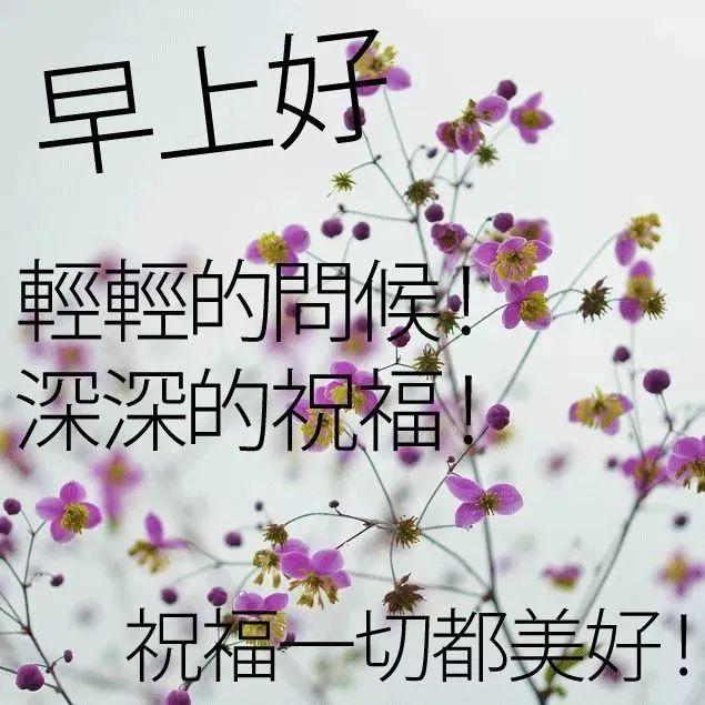 问候大家早上好阳光祝福优美短句,早上好好心情祝福语