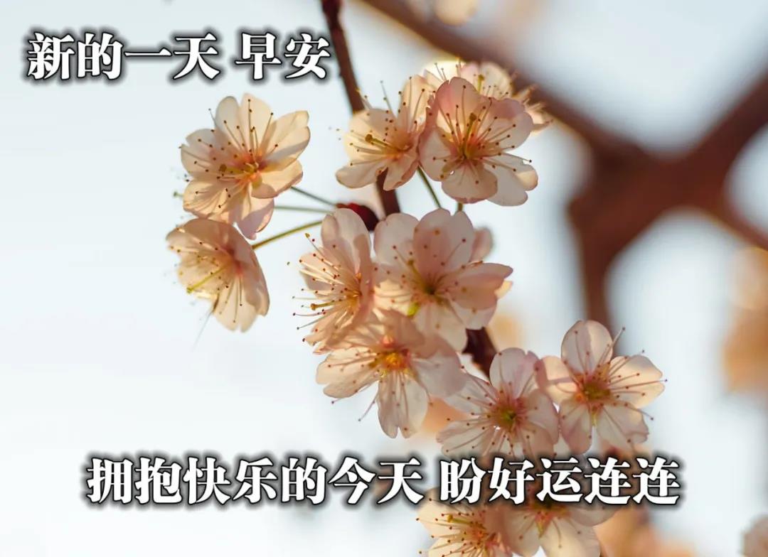 2021正月廿二最新早安祝福语大全,愿你事事顺心,快乐相随