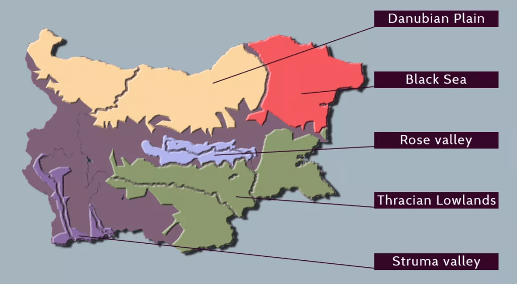 保加利亚的葡萄酒产区包括了色雷斯低地,玫瑰谷,多瑙河平原,黑海地区