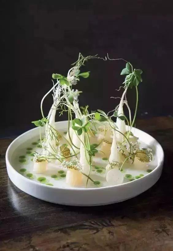 西餐摆盘中常见的几种花草