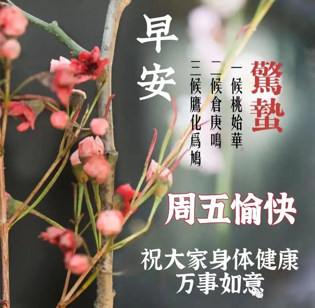 正月廿二惊蛰创意唯美早安问候祝福图片精选 免打字朋友圈早上好问候
