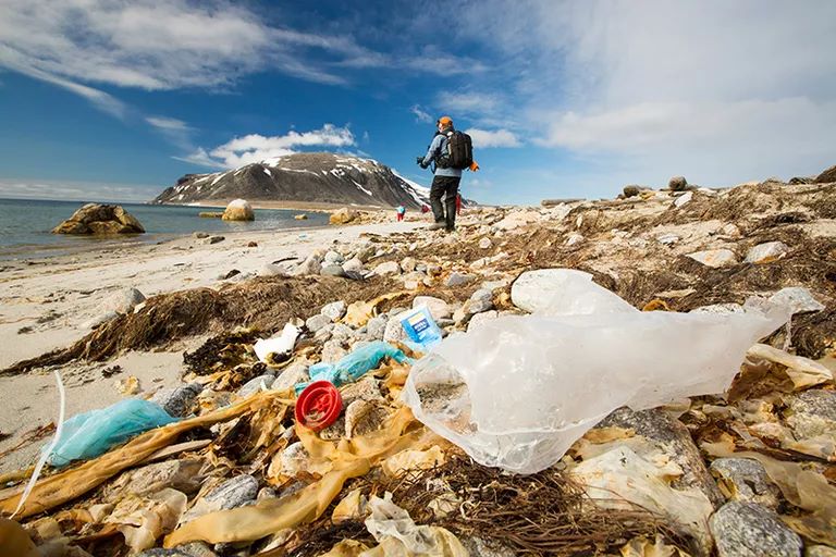 塑料污染已入侵地球最偏远水域——关于北极塑料污染的 5 个事实