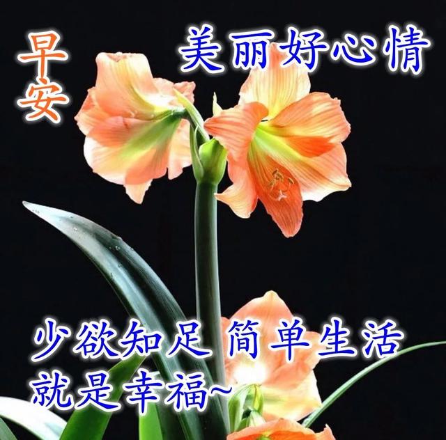 原创最新早安正能量语录问候图片 温馨励志早安心语集锦