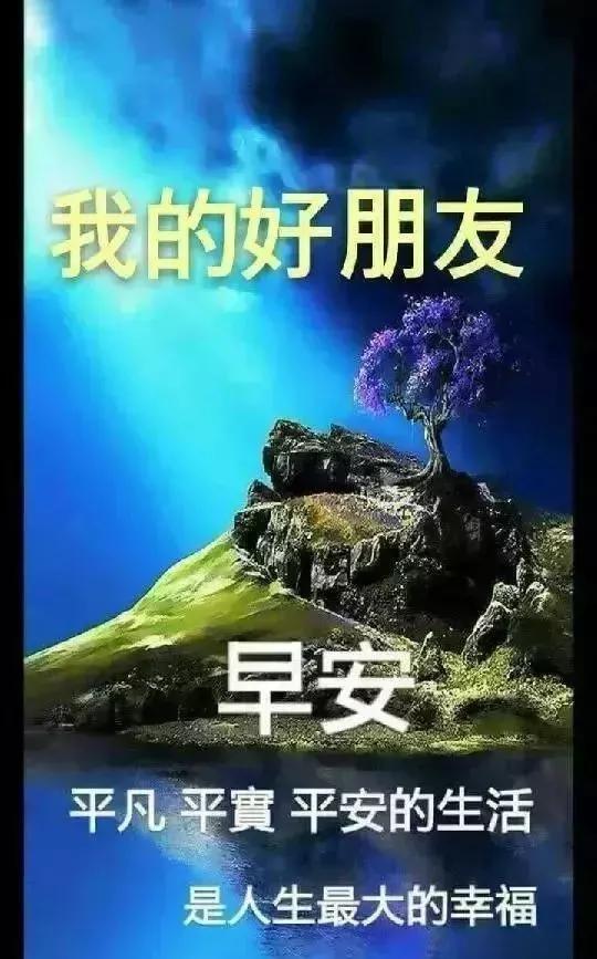 原创清早问候大全图片鲜花带字 清晨表情图片早上好祝福语