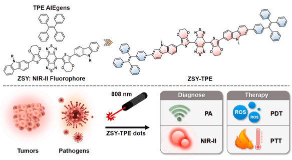 恒光讲堂nirii发光的aiegen用于单激光激活的光动力光热治疗
