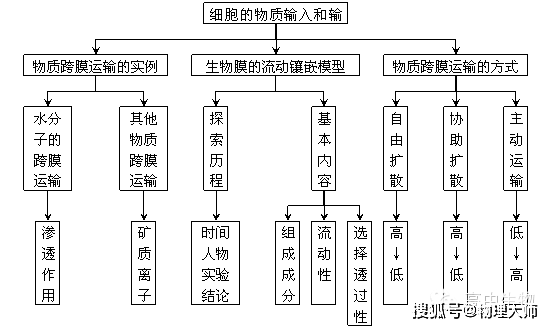 各节子概念图 4.1 物质跨膜运输实例