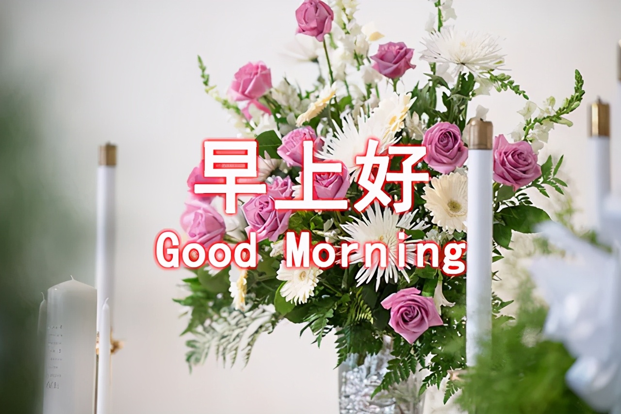 清晨问候祝福语动画表情动态图片 早安最新暖心问候语句