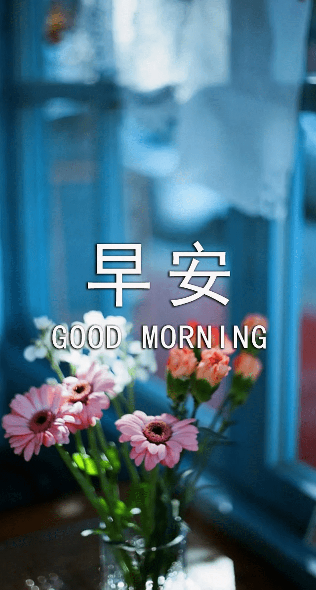 早安祝福语图片带字美图动态祝福,最漂亮早上好动态表情图片